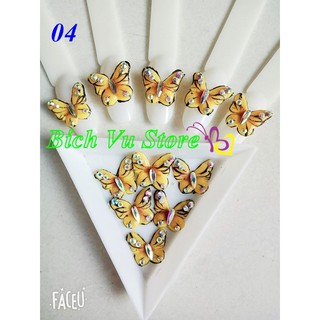 Hoa nỗi 4d, fanatsy - bướm 13k/con