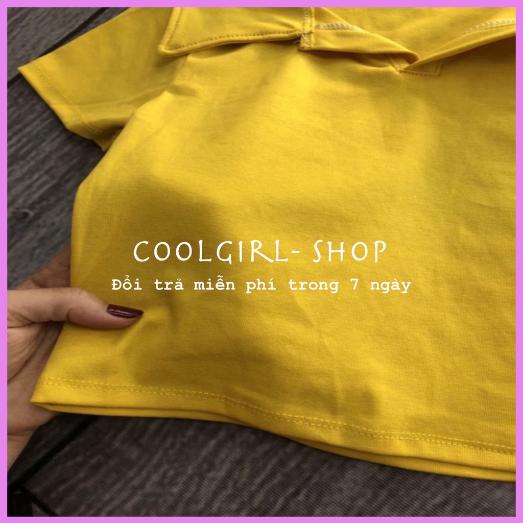 Áo croptop POLO trơn cổ bẻ hàng cao cấp | BigBuy360 - bigbuy360.vn