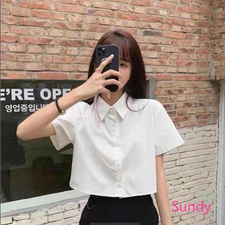 Plus Áo Kiểu Tay Phồng Thêu Họa Tiết Phong Cách Vintage Pháp Cho Nữ