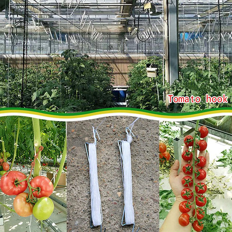 Móc Hỗ Trợ Cà Chua Có Kẹp Cà Chua Chữ J, Móc Treo Ngăn Chặn Cà Chua Hoặc Rơi Kèm Dây