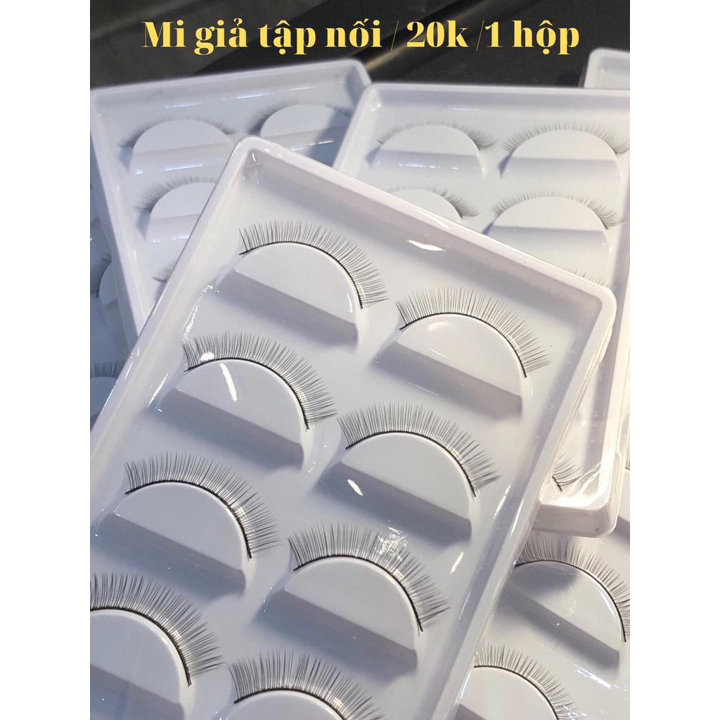 Mi giả tập nối