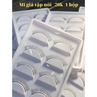 Mi giả tập nối