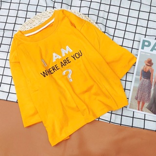 ÁO THUN CROPTOP FREESIZE DƯỚI 55kg