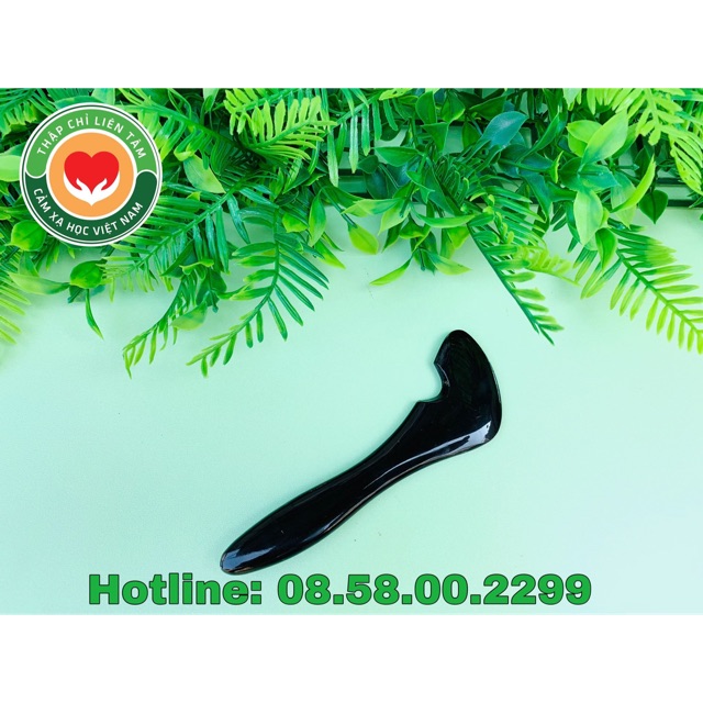 [THẬP CHỈ LIÊN TÂM] Dụng cụ khai thông và đánh gió bằng sừng