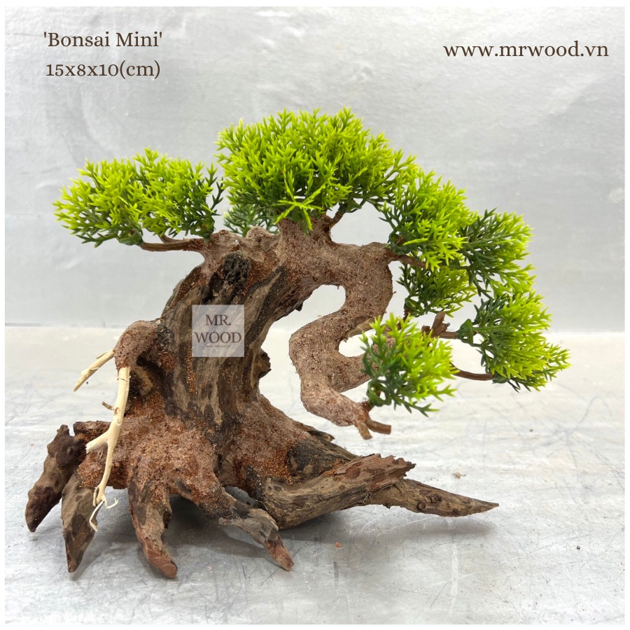 LŨA BONSAI CHO HỒ THỦY SINH SIZE NHỎ