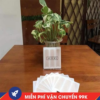 KÍCH MÍ LƯỚI THẦN THÁNH [ 24 đôi]