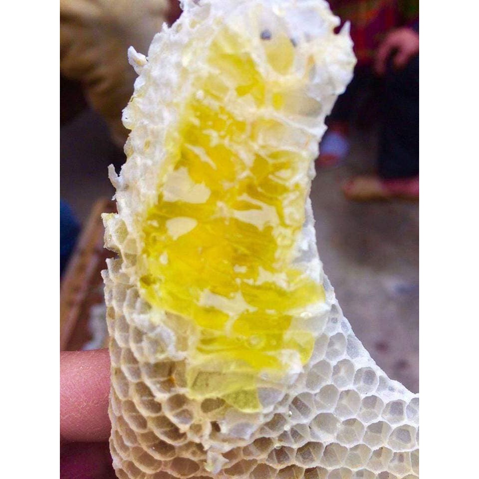 MẬT ONG HOA BẠC HÀ GIÀ GIANG NGUYÊN CHẤT HŨ DÙNG THỬ 200ML | BigBuy360 - bigbuy360.vn