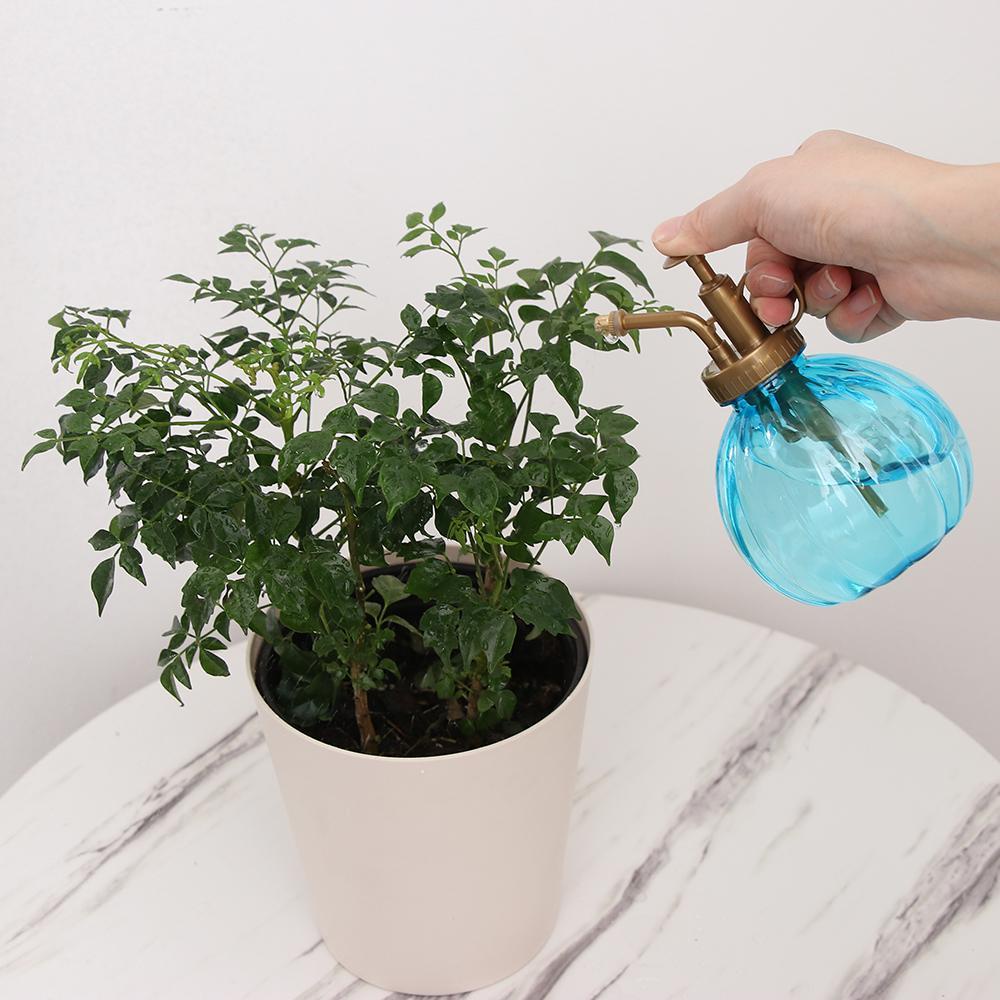 Bình Xịt Nước Tưới Cây Hình Quả Bí Ngô Chất Lượng Cao