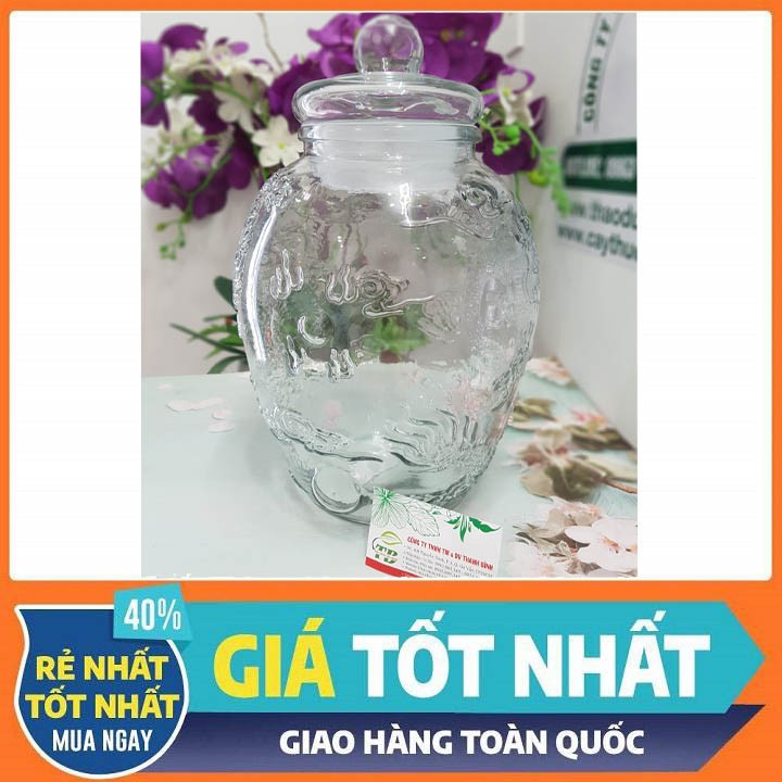 Combo 2 Bình Chum Họa Tiết Long Phụng 15 lit - Hũ Ngâm Sâm 15 lit