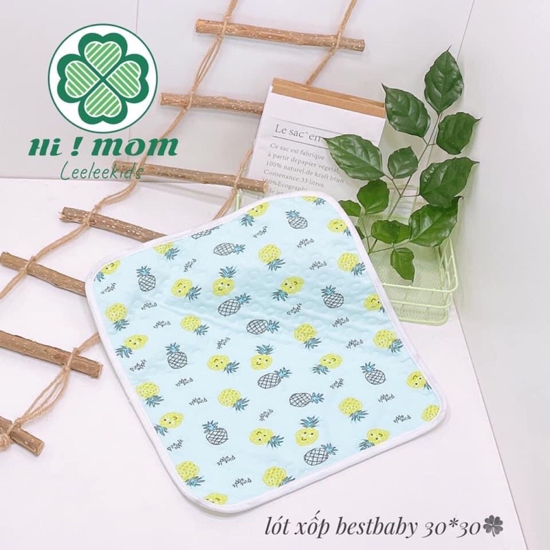 Chiếu Lót Chống Thấm Best Baby Size 30-30cm