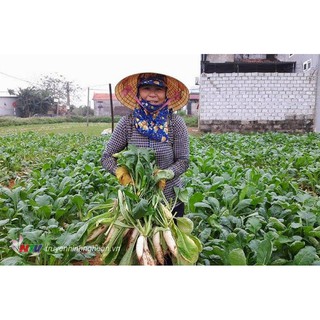 Củ Cải Trắng RĐ 100 gr - RẠNG ĐÔNG
