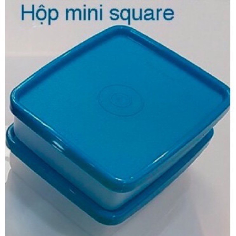 hộp vuông mini square 180ml đựng hành / tỏi / ớt / ăn dặm tupperware