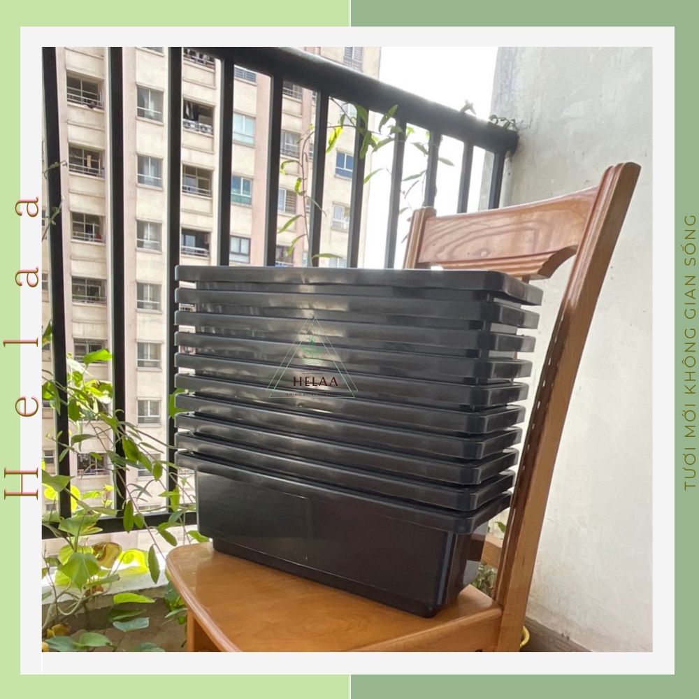 Combo 10 Chậu Trồng Rau Hình Chữ Nhật, Khay Nhựa Trồng Rau Thông Minh, Máng, Giá, Bồn Trồng Hoa, Củ Quả - 2 Kích Cỡ
