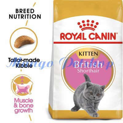 Thức Ăn Cho Mèo Con Anh Lông Ngắn Royal Canin British Shorthair Kitten Túi 2Kg