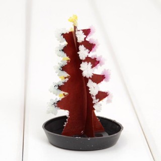 Cây thông Noel tự nở hoa thần kì-Xmas Tree