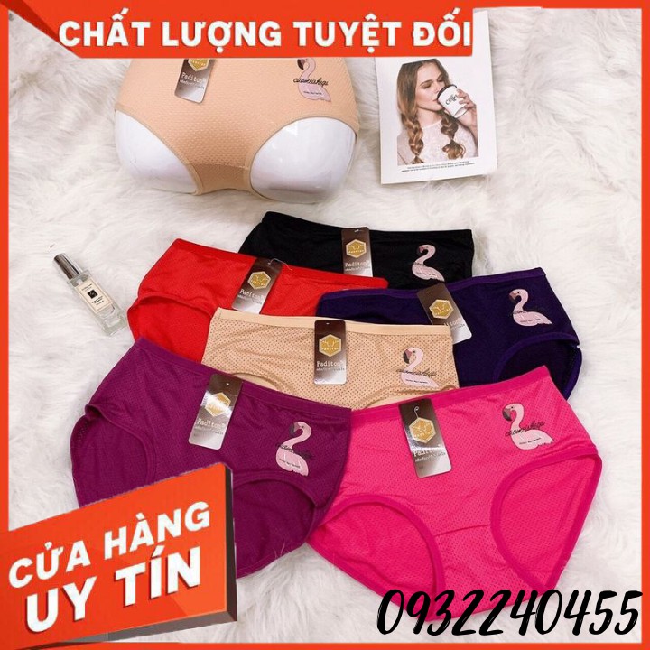 {Sỉ = lẻ} 10 quần lót nữ thông hơi thiên nga, quần lót nữ &lt;52kg ms 3012
