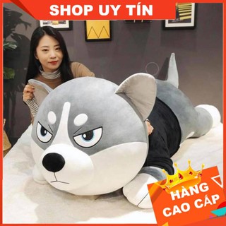 Chó Husky Bông, Chó Bông Huskey