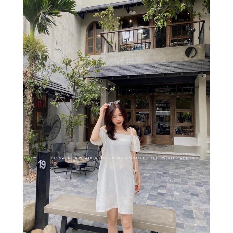 Shopee lựa live 100k 1kg