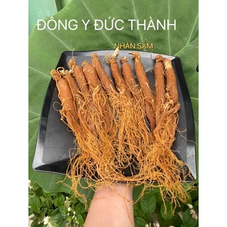 Hồng sâm sấy dẻo 1 củ30g( hàng khô thơm không đường)
