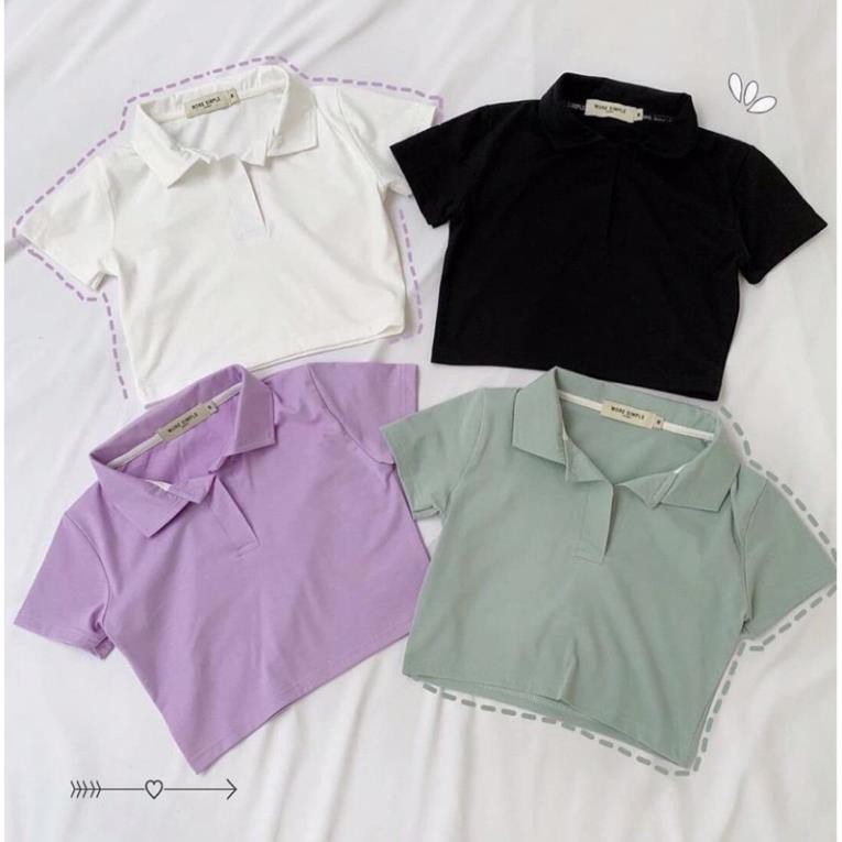 Áo Croptop Cổ Bẻ Nữ- Áo thun croptop polo basic tay ngắn có cổ trơn dáng ôm Ulzzang SIÊU XINH  ྇