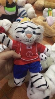 Cọp và sư tử, chó bông. 