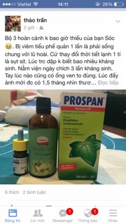 Tinh dầu tràm Huế Cầu Bình An 100ml