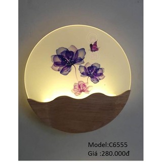 Đèn gắn tường tranh led C6553