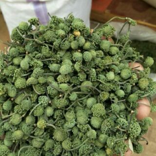 0,5kg  Nụ tam thất non bao tử