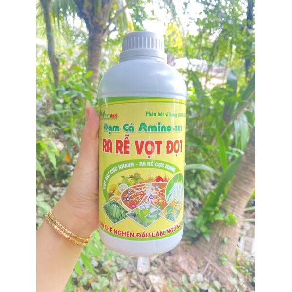 Ra rễ vọt đọt-Đạm cá Animo-THT