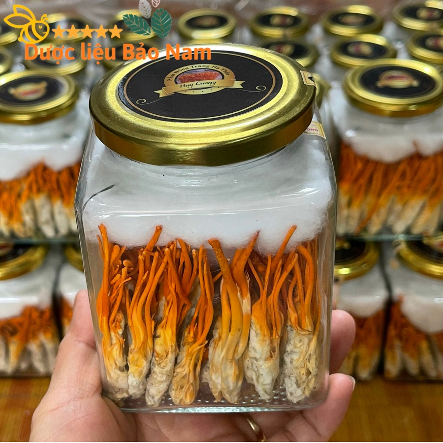 Đông Trùng Hạ Thảo Nhộng nguyên con sấy thăng hoa hàng Huy Cương 100% 22k/con, hộp 20-40 con