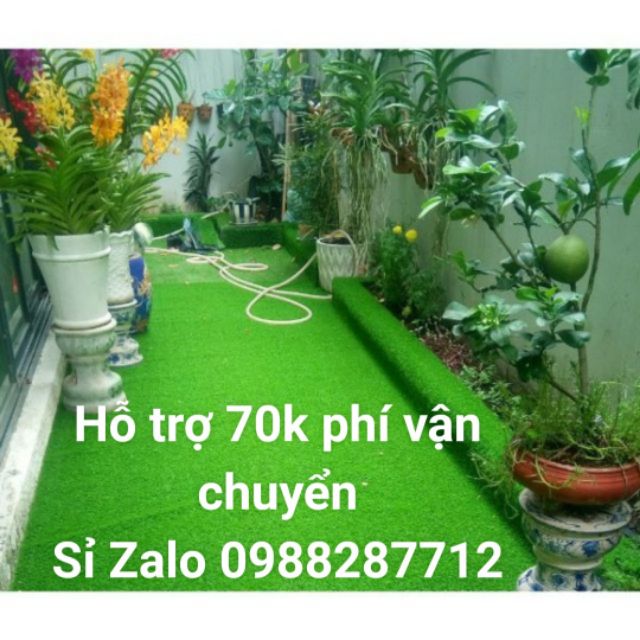 [Mã LIFE20KALL giảm 10% đơn 50K] Thảm cỏ nhân tạo 2cm miễn ship sợi nhựa sân vườn