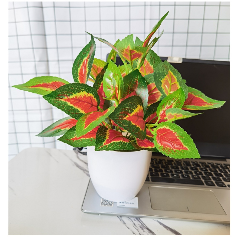 Chậu Cây Bonsai Nhân Tạo Trang Trí Nhà Cửa / Tiệc Cưới / Năm Mới