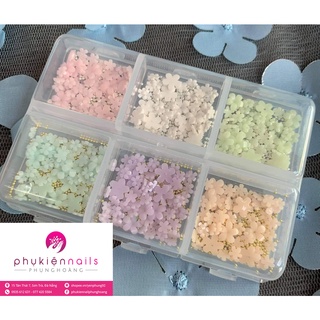 Hoa sứ 6 màu mix bi tráng trí móng siêu xinh