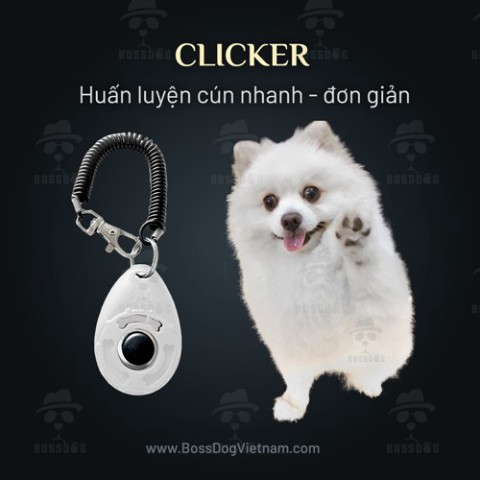 [Hoangminh] Clicker BENE dạy chó nhanh hiệu quả | BH trọn đời | BossDog