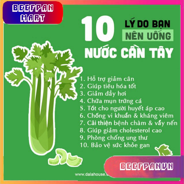 Bột Cần Tây Nguyên Chất 100% - [FREESHIP] - Dalahouse - Giảm Cân Hiệu Quả - Làm Đẹp Da | BigBuy360 - bigbuy360.vn