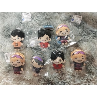 Nit Haikyuu ver Beach