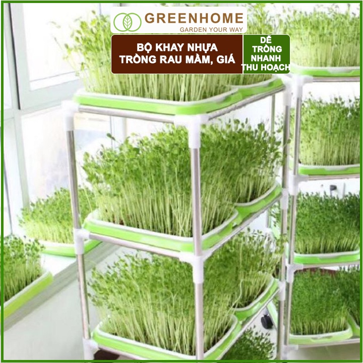 3 Bộ khay trồng giá, D34xR25xC5cm, màu tím, nhựa nguyên sinh, an toàn, dễ trồng tại nhà |Greenhome