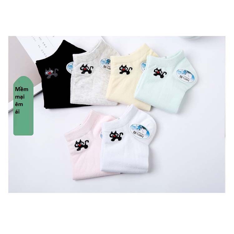 Combo 2 đôi tất nữ cotton kháng khuẩn - 100k