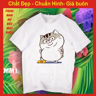 Áo Thun Mèo Cat Ami Bụng Bự M1 (phông chất đẹp - bao đổi trả)