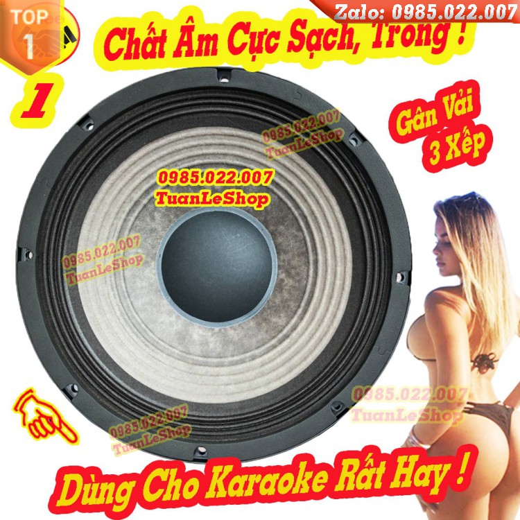 MỘT CỦ LOA KARAOKE BASS 30 NR AUDIO CHÍNH HÃNG - TỪ 190 CÔN 75 – LOA 3 TẤC