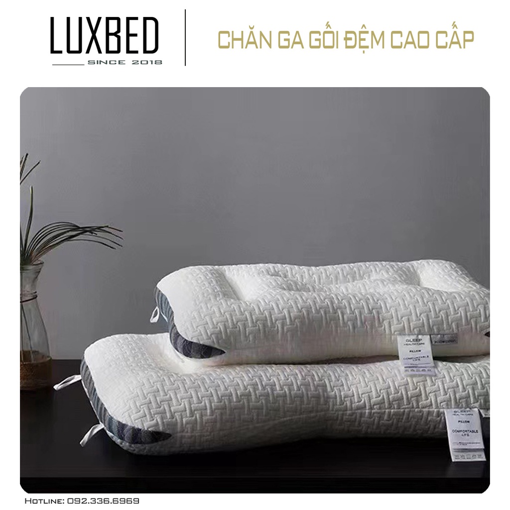 Ruột Gối Chống Mỏi Vai Gáy Nhập Khẩu 1,5kg/chiếc - LUXBED