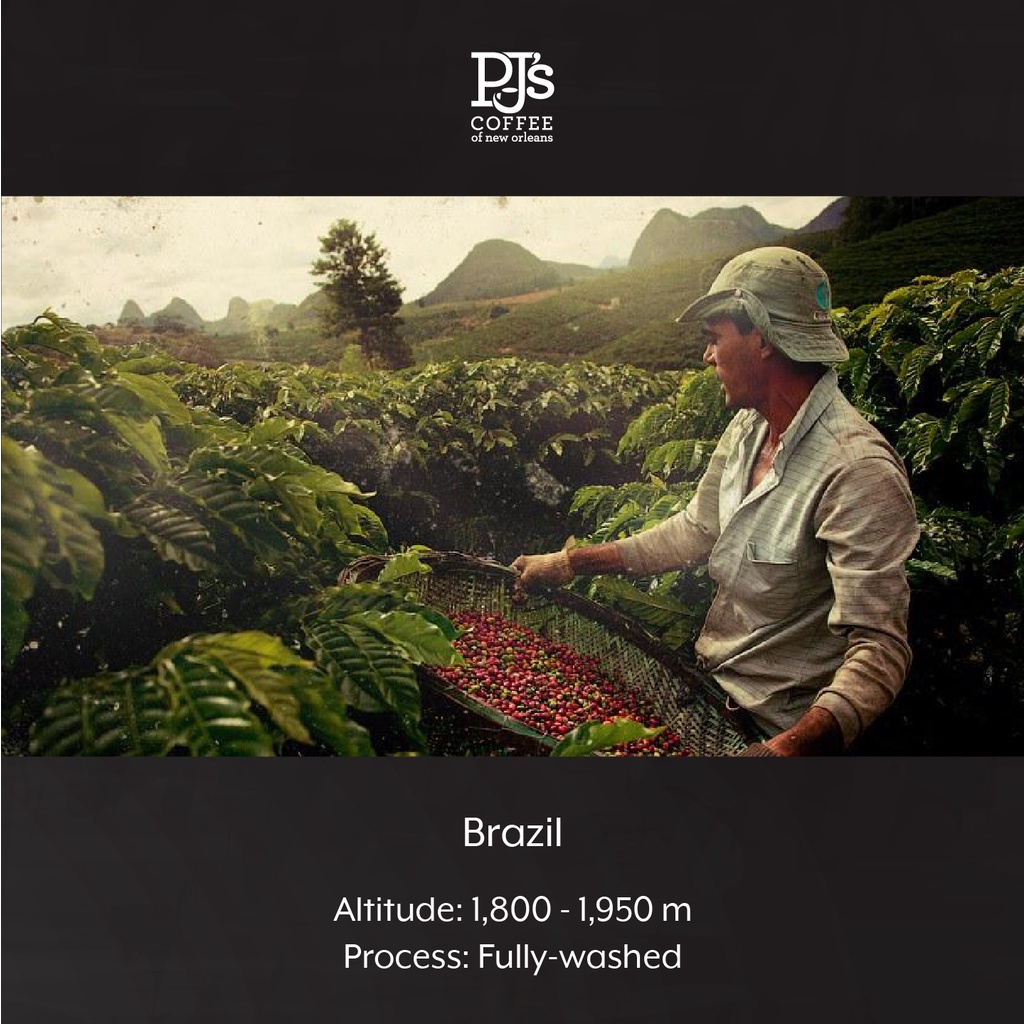 Cà phê hạt Arabica cao cấp, nhập khẩu Mỹ của PJ’s Coffee, không đường, vị Hazelnut đậm đà - 150gram/ 454gram