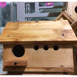 Tổ đẻ Love bird, Yến phụng, Cook
