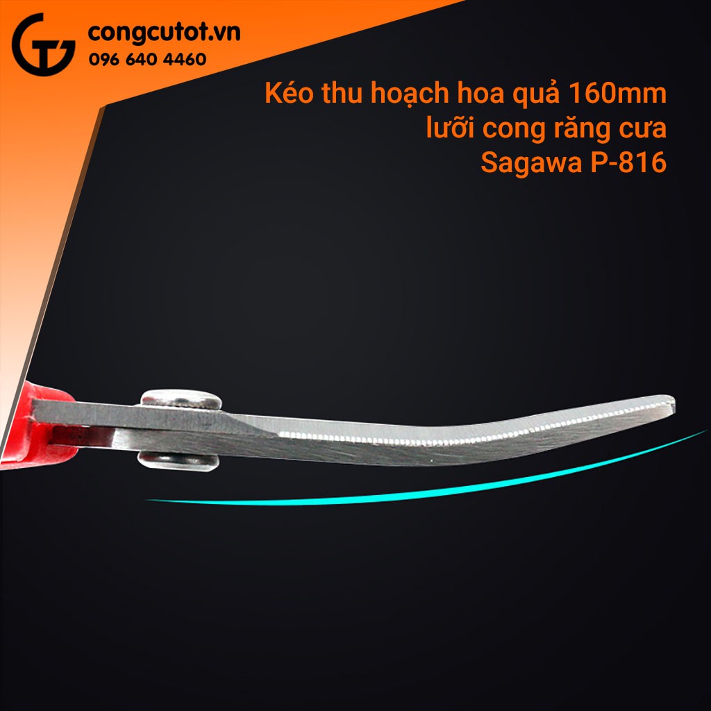 Kéo mũi cong thu hoạch hoa quả 160mm SAGAWA P-916