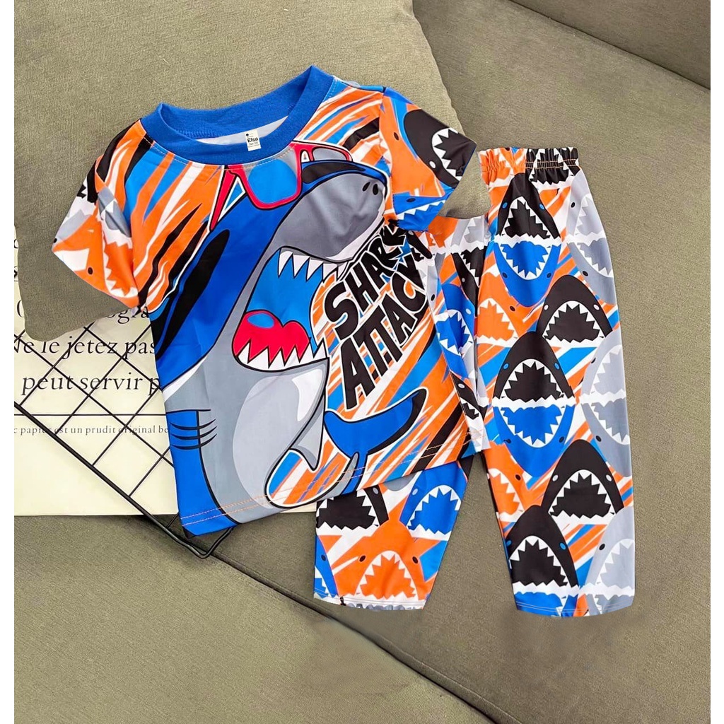 [8-12Kg] Bộ đồ bé Trai quần dài in hình 3D HOT TREND chất vải dày mịn thoáng mát được các bé yêu thích BTD03