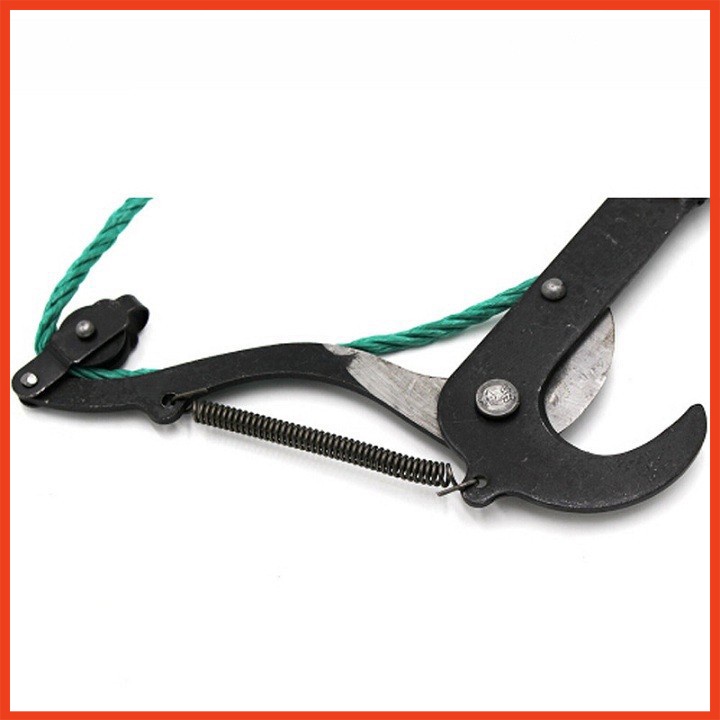 Đầu kéo cắt cành cây trên cao, tỉa cây cảnh, hái hoa quả đa năng