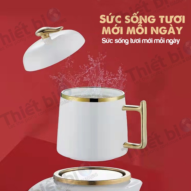 Cốc Sức Khỏe Đa Chức Năng Chưng Yến  Tự Động Làm Nóng Nước Ở Nhiệt Độ 55 Độ Kèm Hộp Làm Quà Tặng Đẹp Sang Trọng.