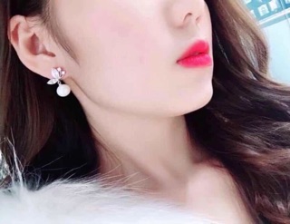 Set bướm bạc xinh xắn