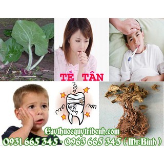 Tế Tân Khô Loại 1 [Gói 500gr] - Hàng Công Ty