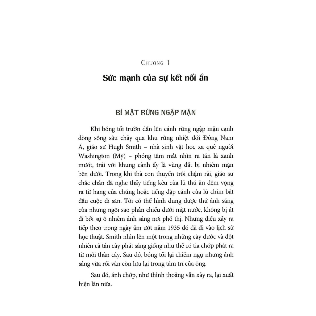 Sách - Tiềm Năng Lớn